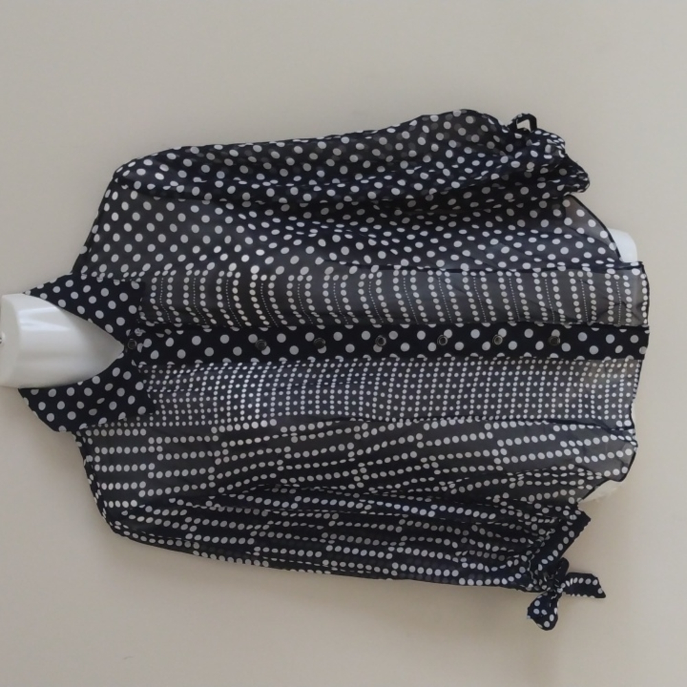 Carlisle Silk Semi-Sheer Blouse